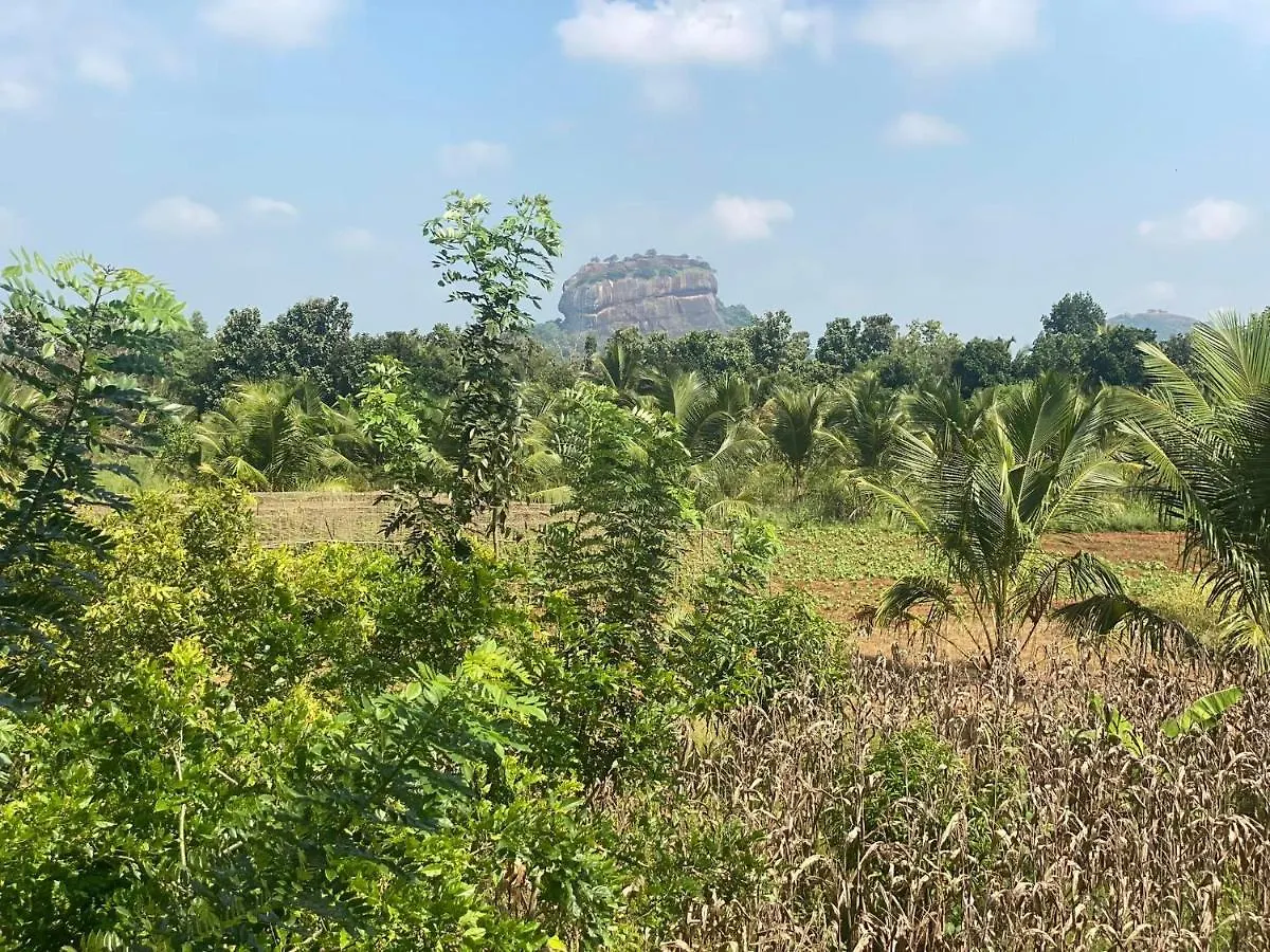 Chena Huts Eco Resort Sigiriya 0*,